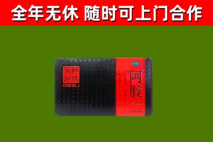云州回收阿胶