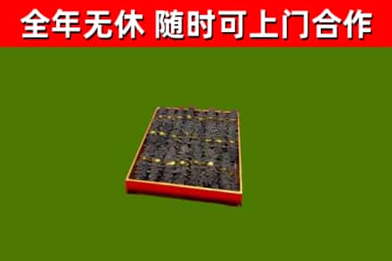 云州回收海参